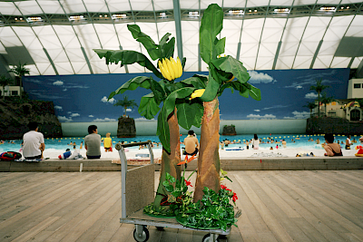 © KEYSTONE / Magnum Photos / Martin Parr
