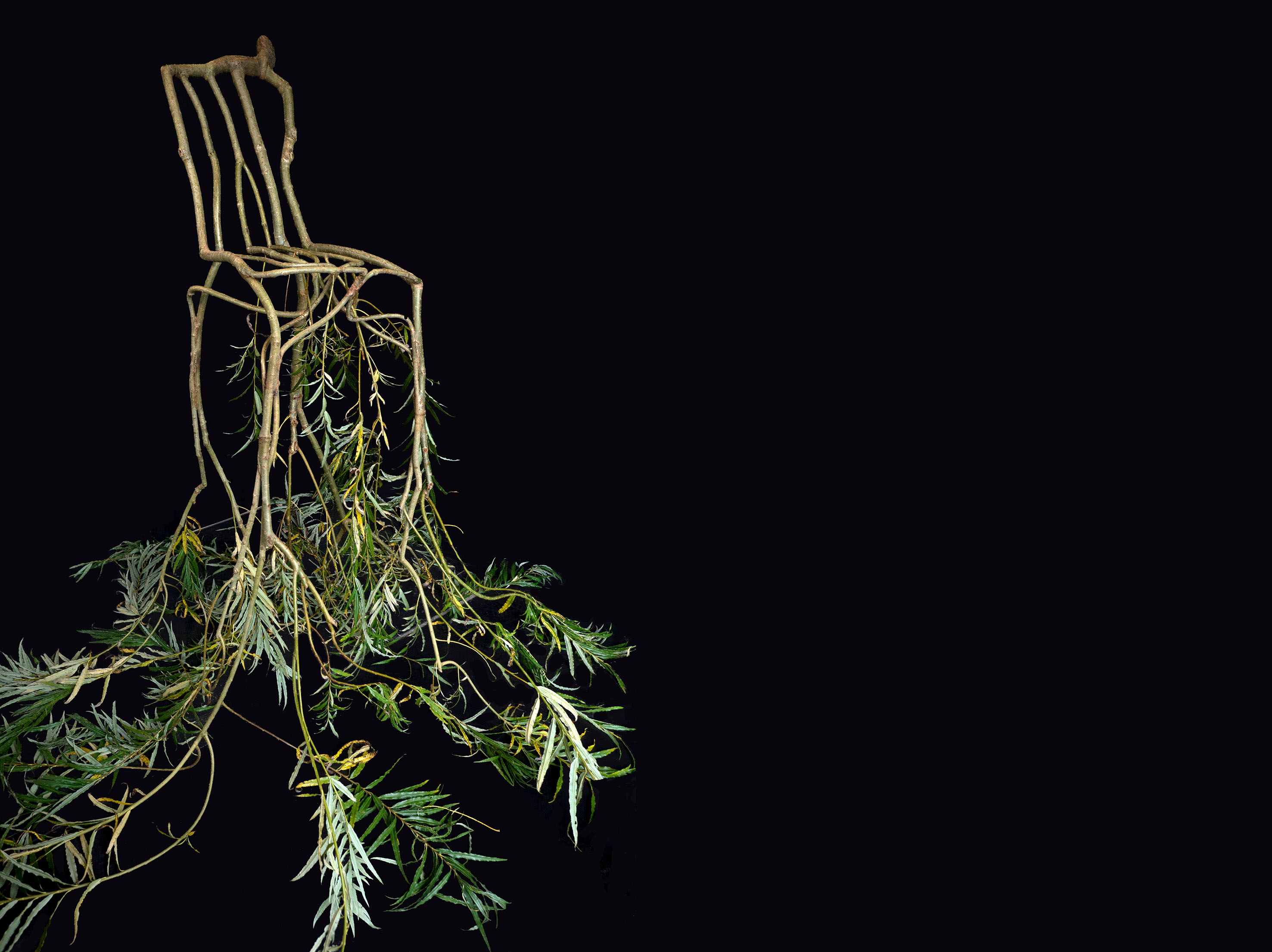 Gavin Munro, The Edwardes Chair, 2012/2016, © Full Grown