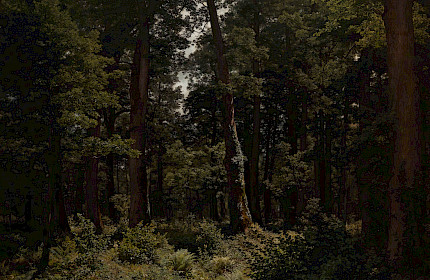 Wie man in den Wald ruft ...