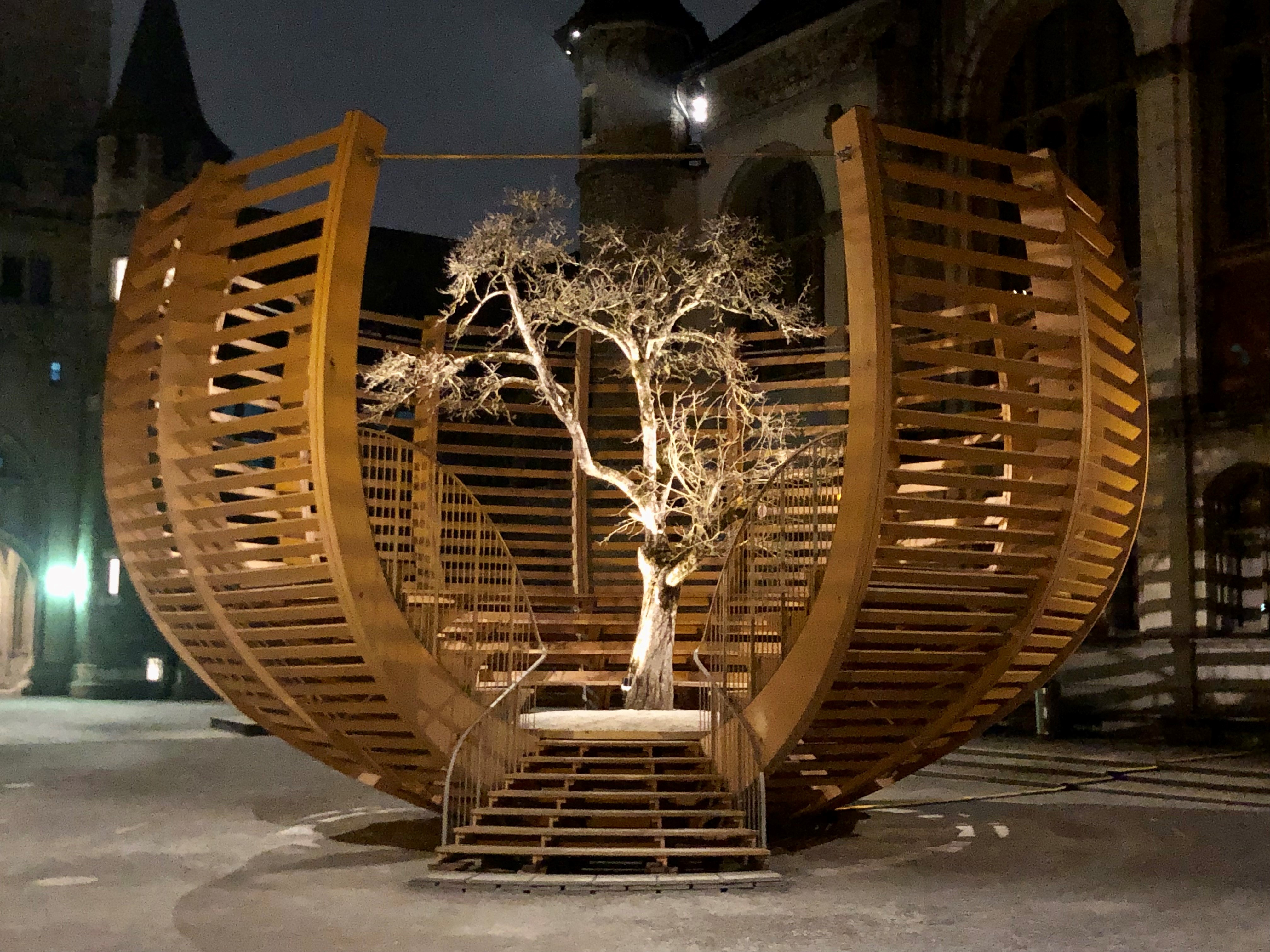 Klaus Littmann, Arena für einen Baum / Arena for a Tree, Kunstintervention 2022, Zürich. Copyright: Foto: Aviaticfilms, Courtesy of the KBH.G Cultural Foundation