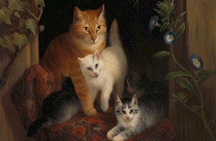 Katzen im Kunsthaus