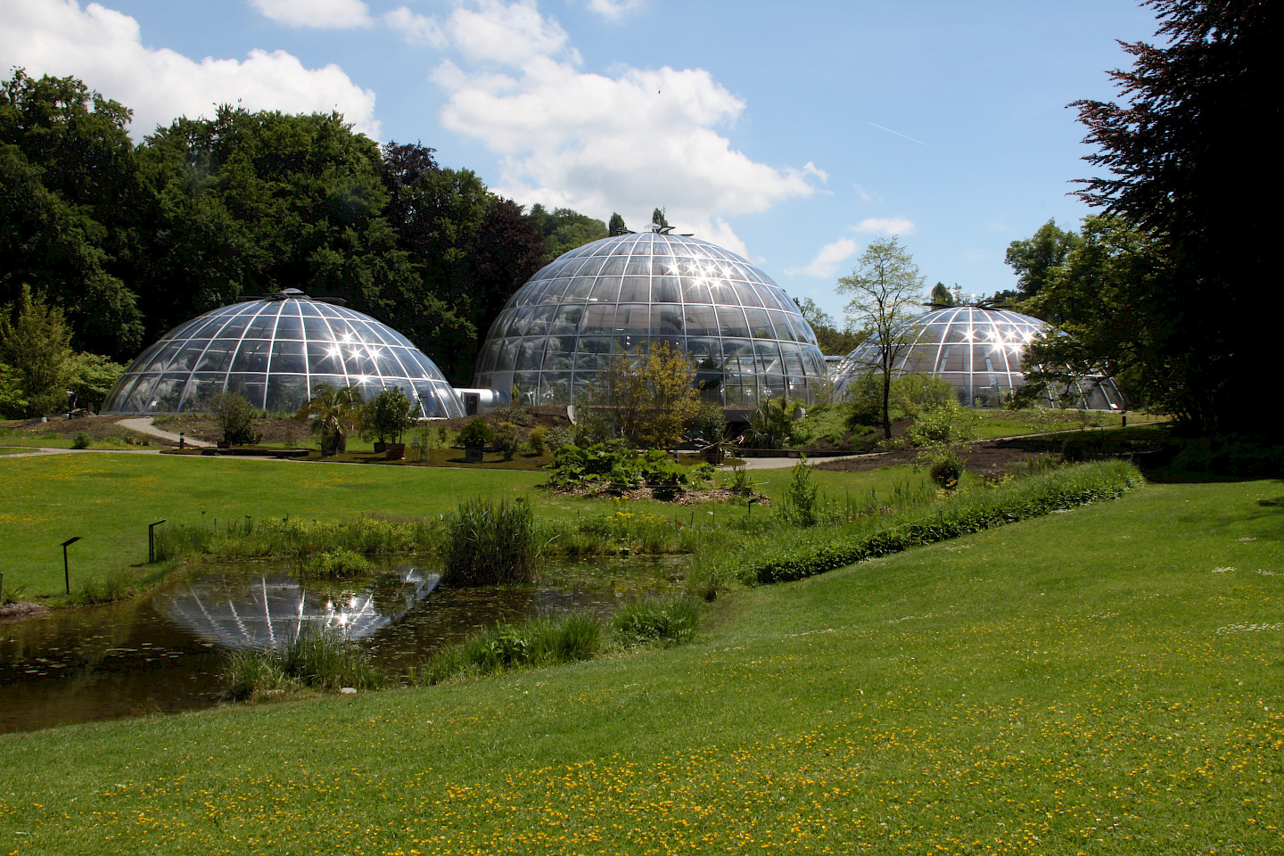 Der Garten mit den Schauhäusern