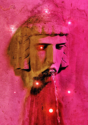%c2%a9Nico+Krebs