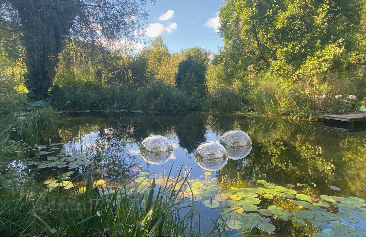 Hortus conclusus – im Garten der Sinne