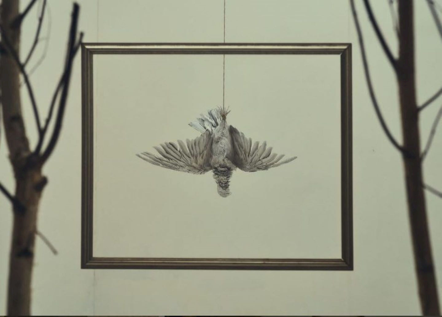 DEAD PALOMA - AUSSTELLUNG