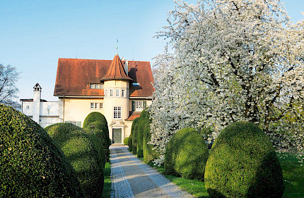 Literarische Highlights im Juli