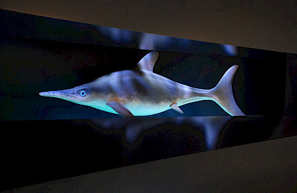 My first time ... Nature Museum Winterthur