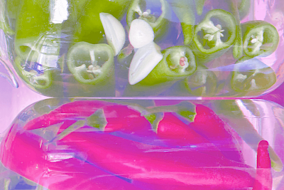 ZW-Workshop: Lacto-fermentation – a creativity enhancer for chefs
