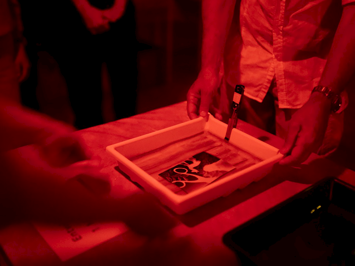 Workshop: Fotogramm – Gestalten mit Licht