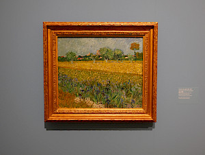 Vincent van Gogh malte meistens realistische Landschaften und Porträts, wie z. B. «Field with Irises near Arles» (1888).