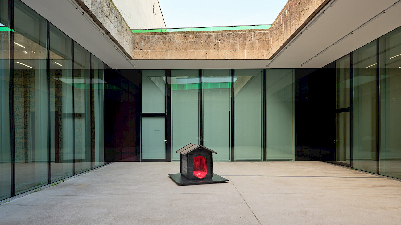 Installationsansicht Klodin Erb Vorhang fällt Hund bellt 21.9.2025 – 4.1.2026, Aargauer Kunsthaus Foto: David Aebi, Burgdorf