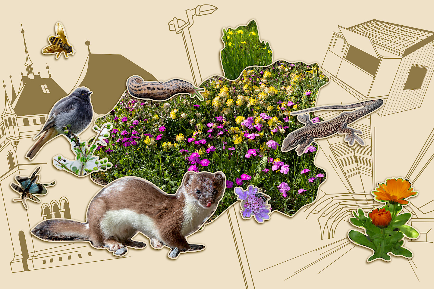 Vernetzte Natur - Lebenswerte Stadt