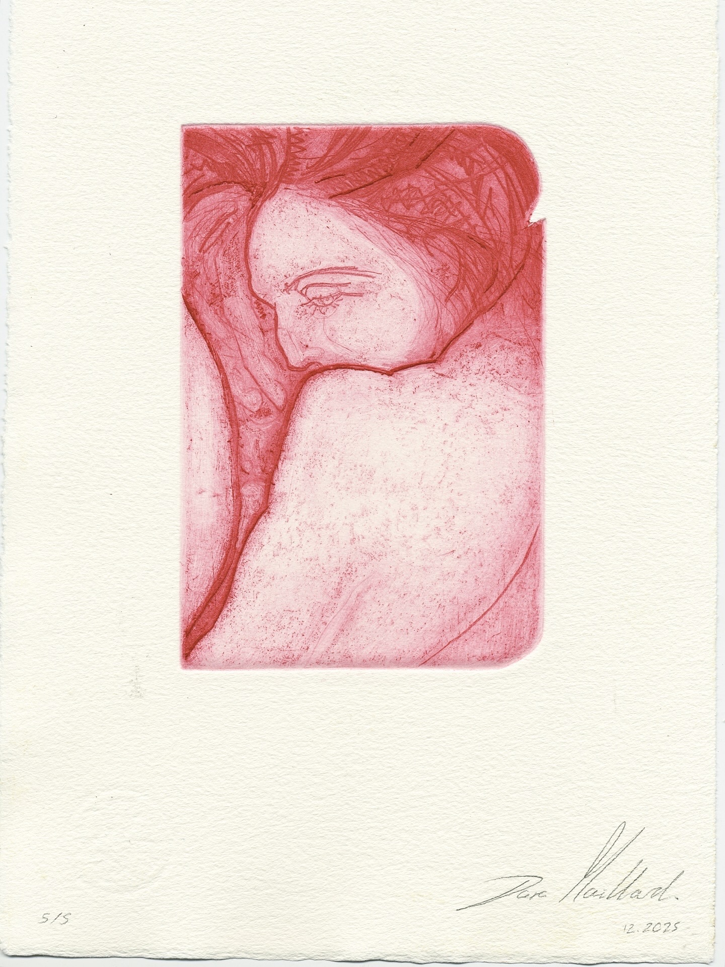 Vanitas VI, Dara Maillard