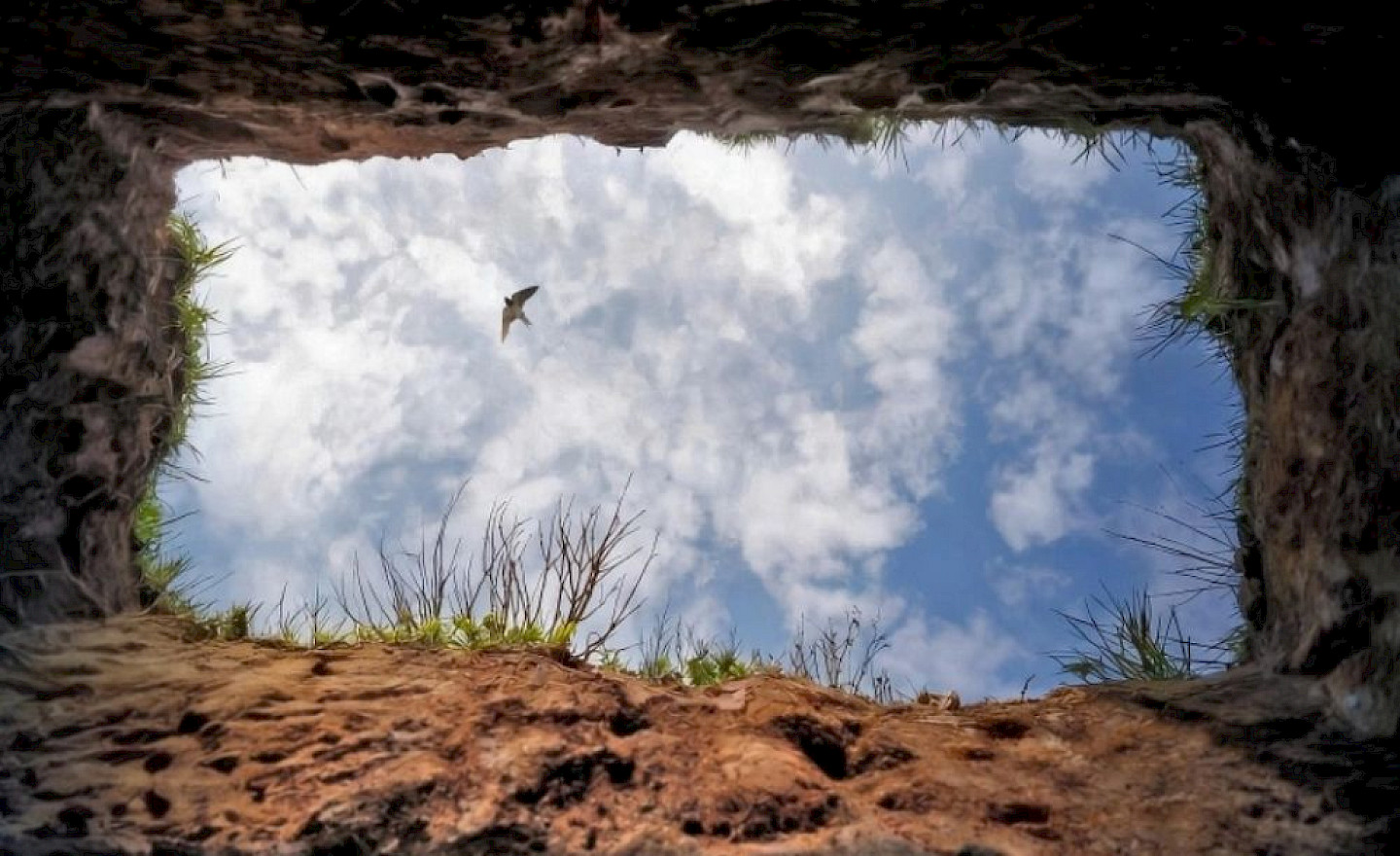 Everything is big