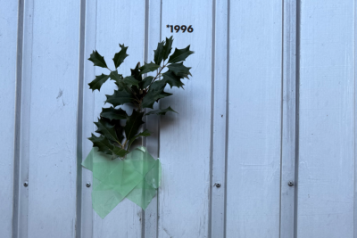 30 Jahre domizil